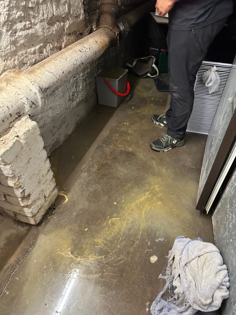 SOS Rohrreinigung Ketsch mit Hochdruckreinigung vor Ort