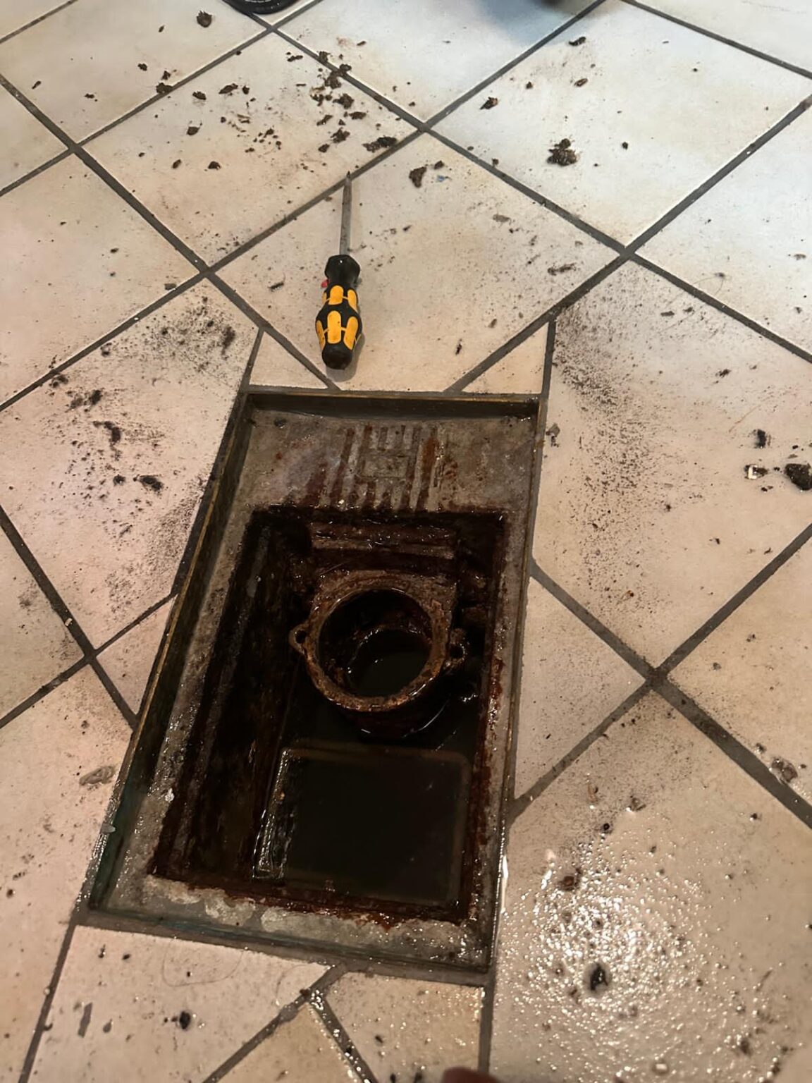 TV Kanalinspektion Rohrleitung Ketsch durch Fachbetrieb