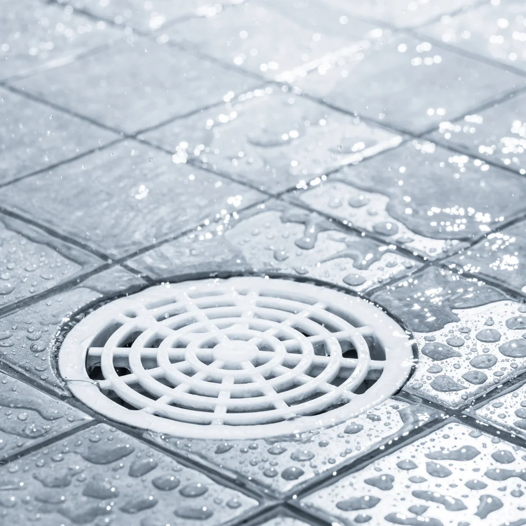 Rohrreinigung Schifferstadt