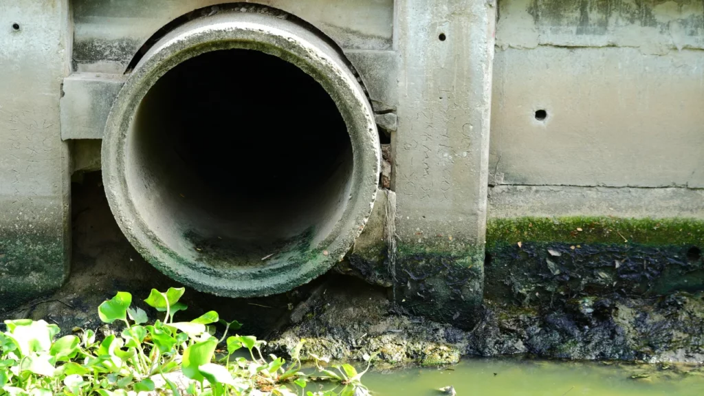Abflussreinigung Seeheim-Jugenheim – Schnelle Hilfe near me
