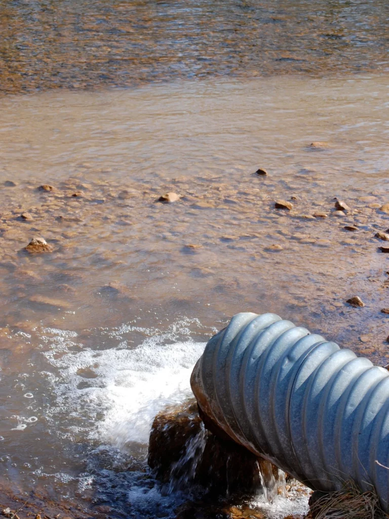 Kamerabefahrung & TV-Inspektion Ginsheim-Gustavsburg – präzise Wartung