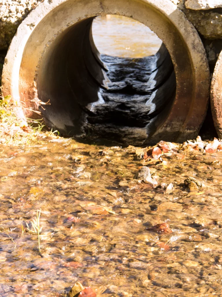 Kamerabefahrung & TV-Inspektion Walldorf – Fachgerechte Wartung
