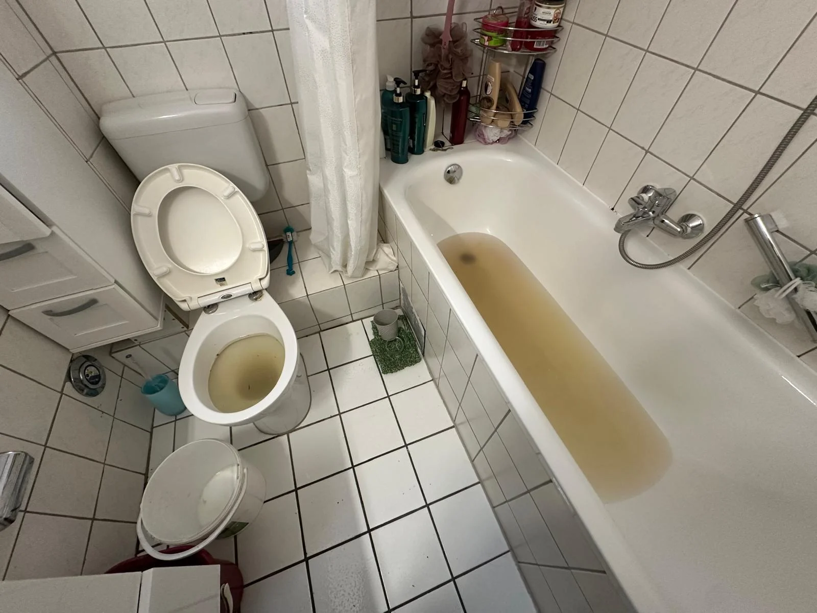Rohrreinigung Walluf Rückstau Toilette Badewanne verstopft Notdienst